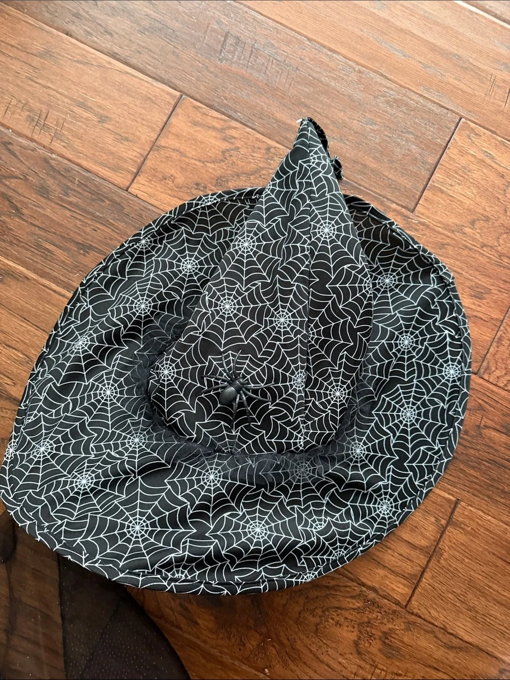 Pottery Barn Kids Glow-in-the-Dark Witch Halloween Costume